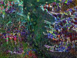 Bjoern Daempfling - Germany - Mountains of Madness