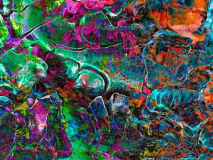 Bjoern Daempfling - Germany - Yoth