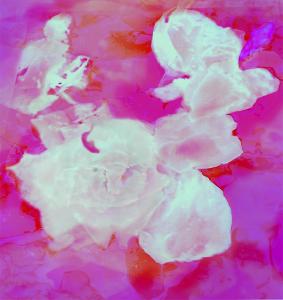 Gilberto Sossella - Italy - White roses in alizarin crimson