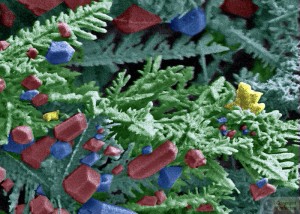 Nguyen-Siegert-Fodlmeier nanoart-k12 Christmas No.1