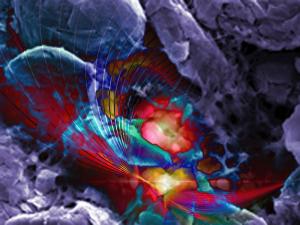 Renata Spiazzi - USA - Revelation